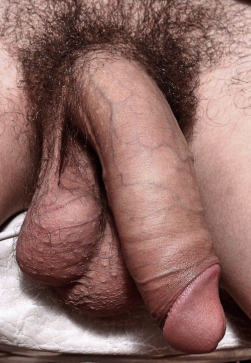 Big hairy cock and balls