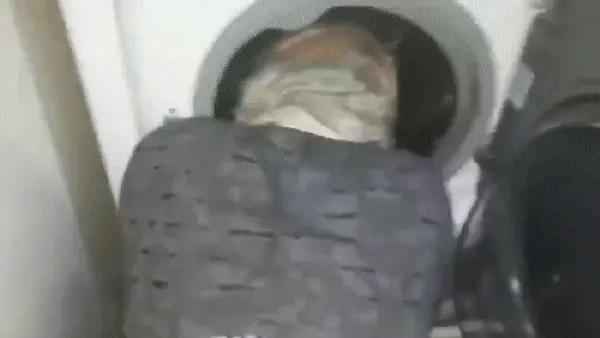 Turkish neighbor