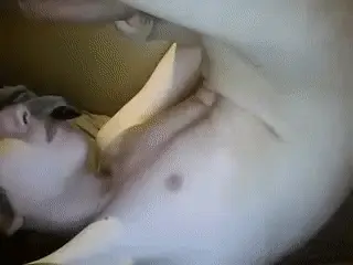 Sucking his huge cock