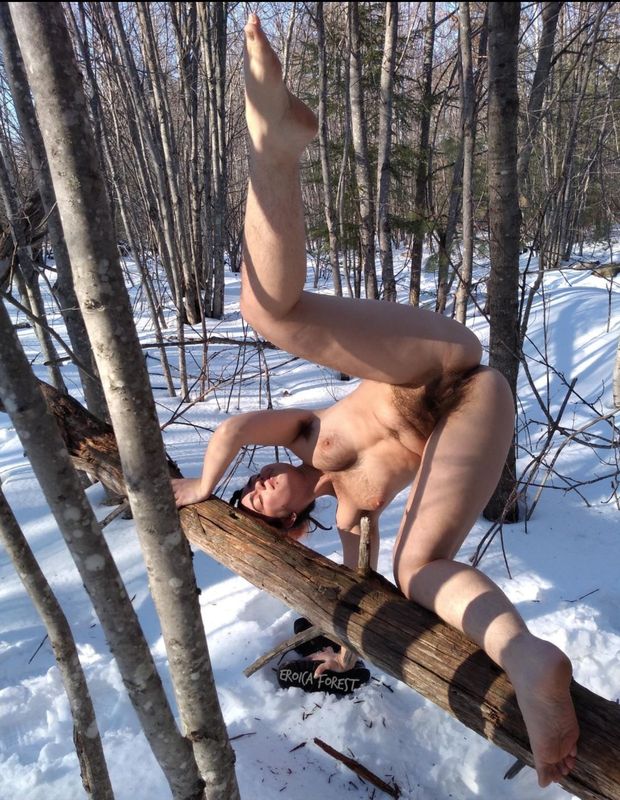 Bush in the snow