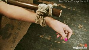 I LOVE this. Don't let the cunt loose