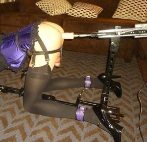 Doggy style training