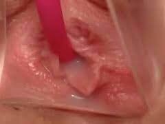 Yum