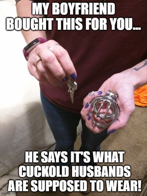 Bull deny the husband