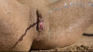 “Every grain of sand has a story to tell…”