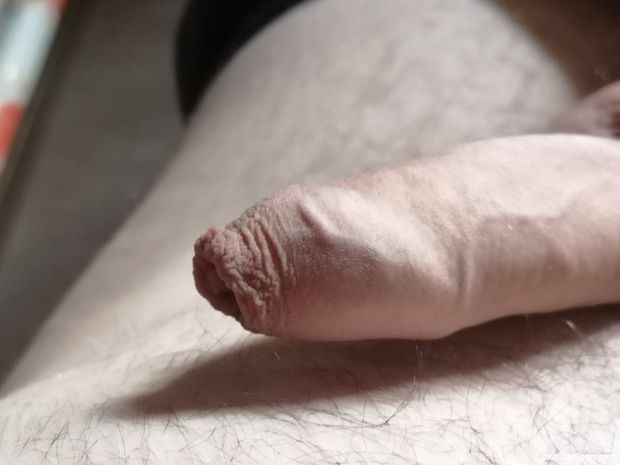 My stiff penis with foreskin