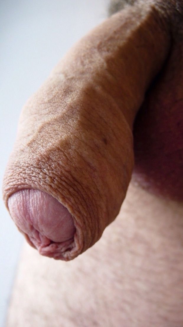 Hooded cock
