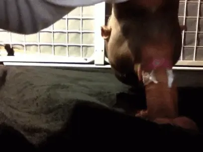 Cum overflowing blow job