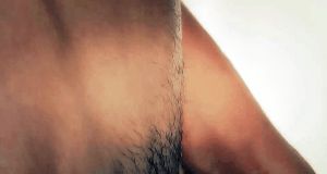 Wide angle pan of a big cock