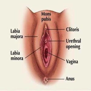 In case you need to refresh your memory…