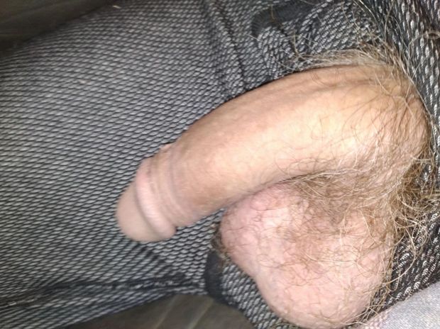 Hairy cock and balls