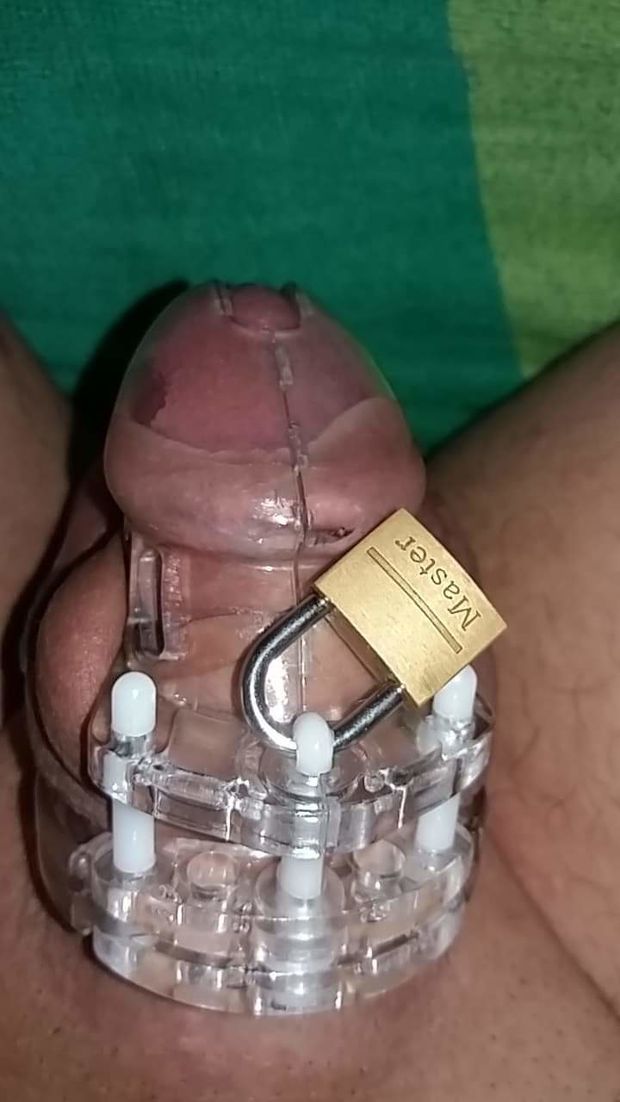 my caged cock