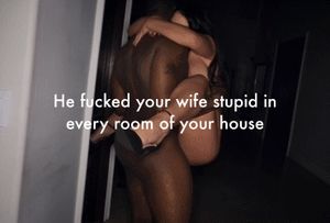 So he marked his territory in every single room in my house including my wife