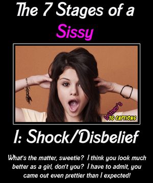 The 7 stages of a sissy