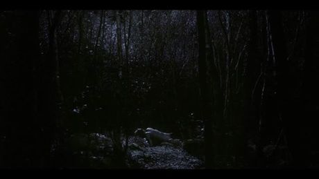 Anya Taylor-Joy bush and butt