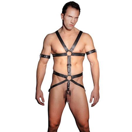 How many of you are gay and in to BDSM?