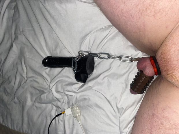 Humiliation is the best form of loyalty