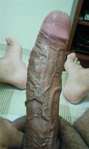 A cock I would definitely suck