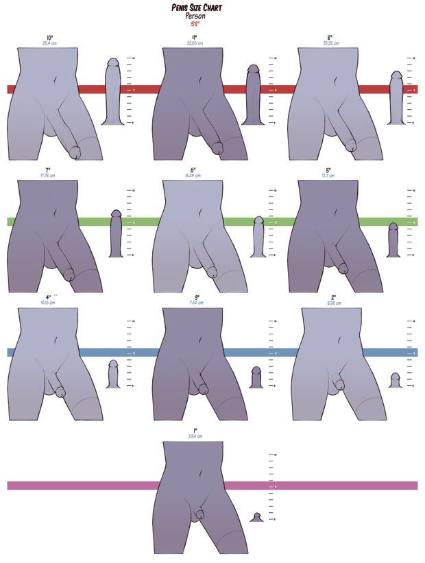 Penis size Chart