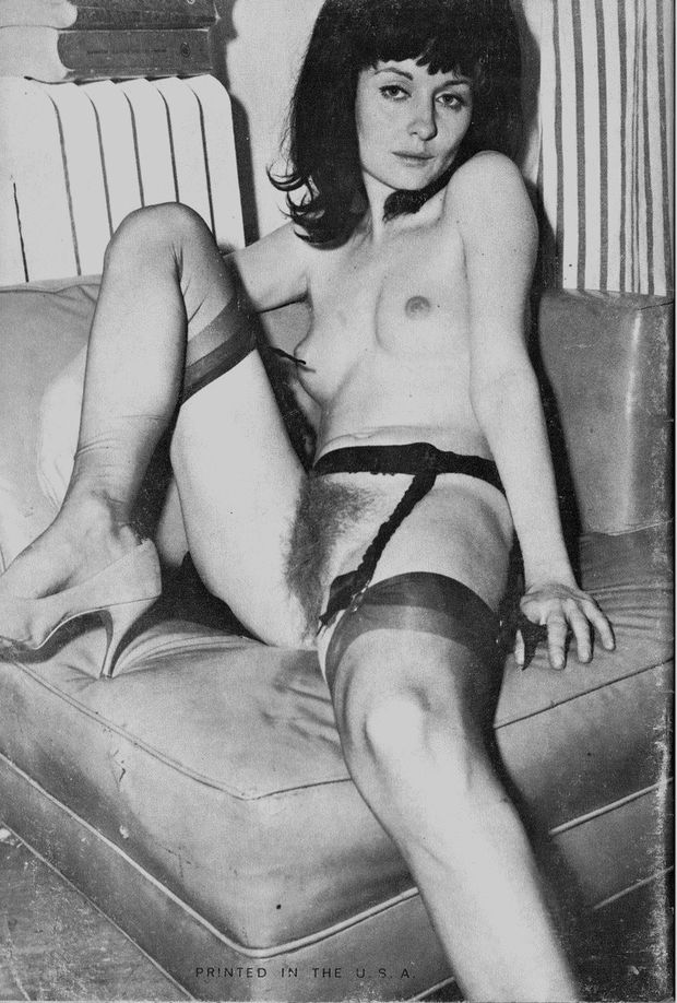 Vintage bush