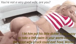 Now now, let's let the cuck take a little swim, right?