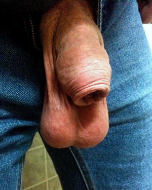 Big balls + hooded cock