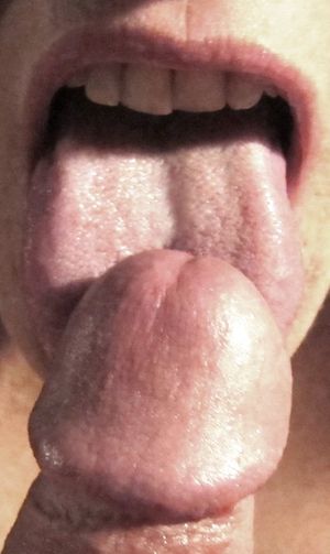 Amateur cock licking