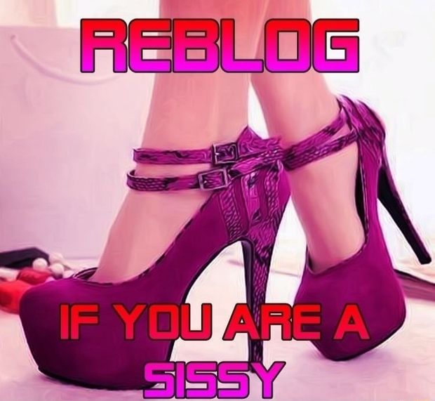 Reblog