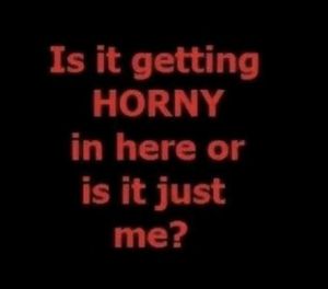 A little fun foreplay on words. Use your imagination. };}