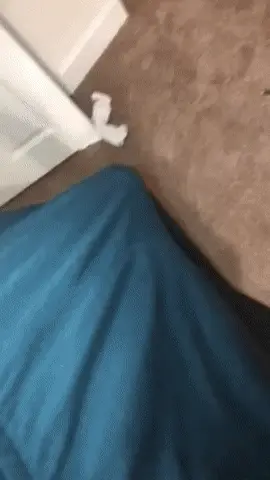 Whipping it out