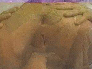 Classic Scene Vanda Vitus 8