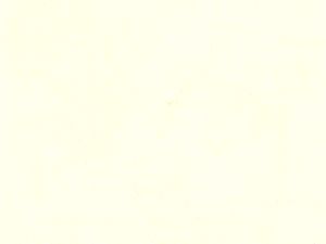 Taylor Hayes cumshot 2