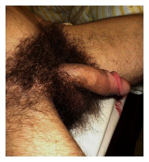 Big bush cock