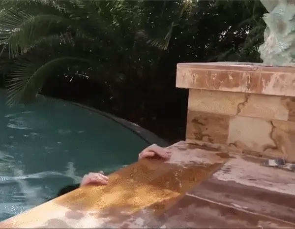 mermaid