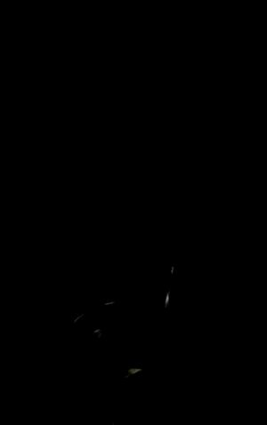 caught getting fucked by black