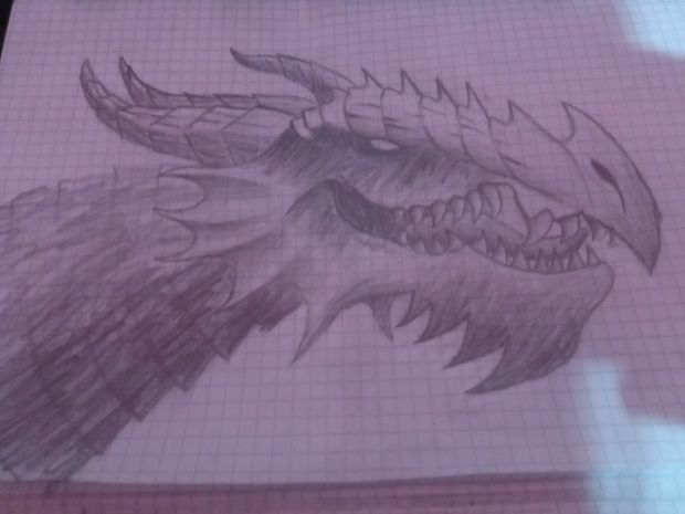 My dragon drawing