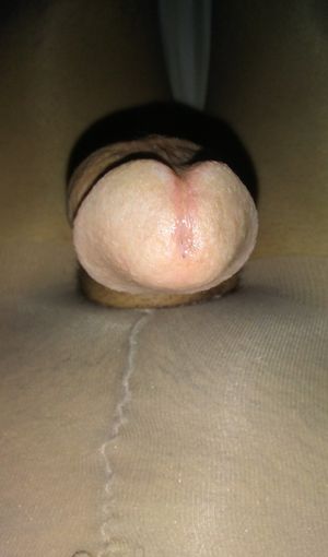 Who wants to suck more sissy cock?