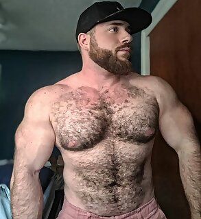 Muscle Bear