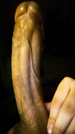 Cock Captured In Night Mode