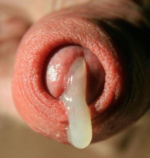 Yummy hot thick foreskin sperm!!