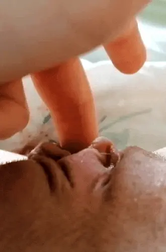 Wet pussy