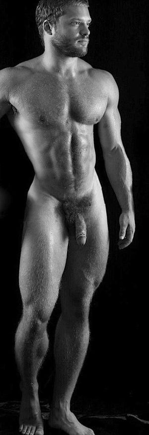 270622 Appolon poilu