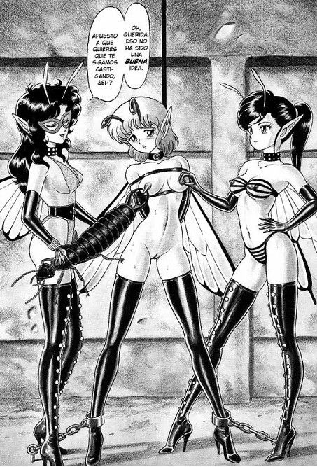 Bondage Fairies 6