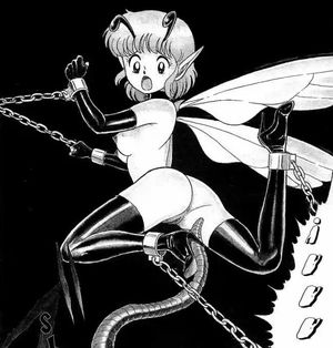 Bondage Fairies 12