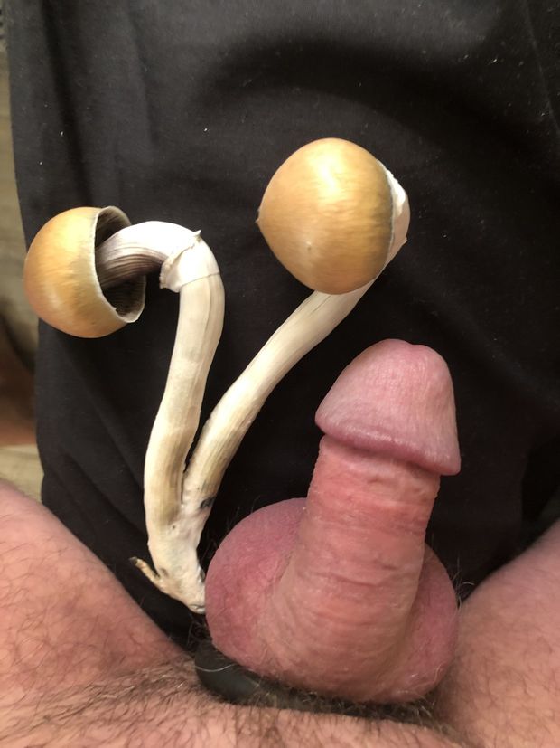 my shrooms are bigger than my cock