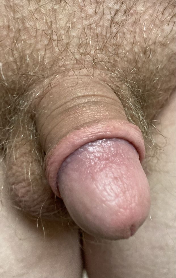 Isn’t it cute?