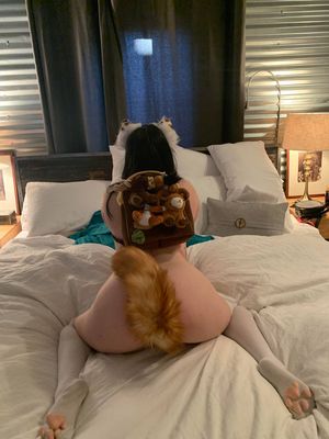 Tail-plugged pet wearing a backpack