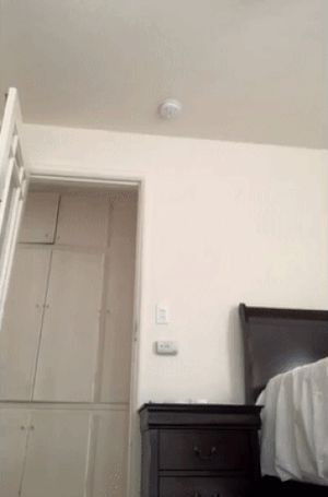 Jumping pussy challenge