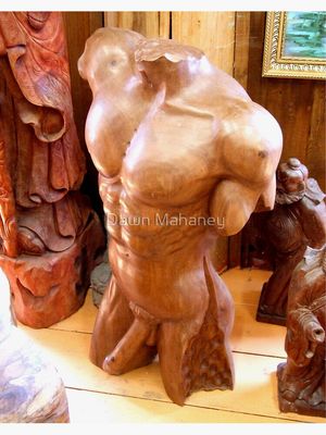 Cuerpo del hombre Lámina fotográfica