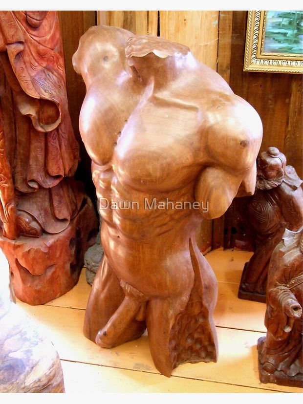 Cuerpo del hombre Lámina fotográfica